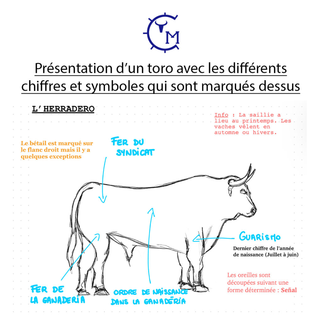 RUBRIQUE JUILLET 2024